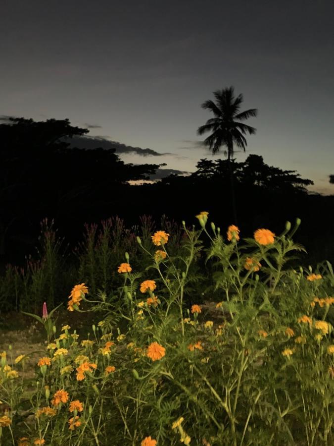 Green Queendom Farm And Lodging Oracabessa Exterior photo