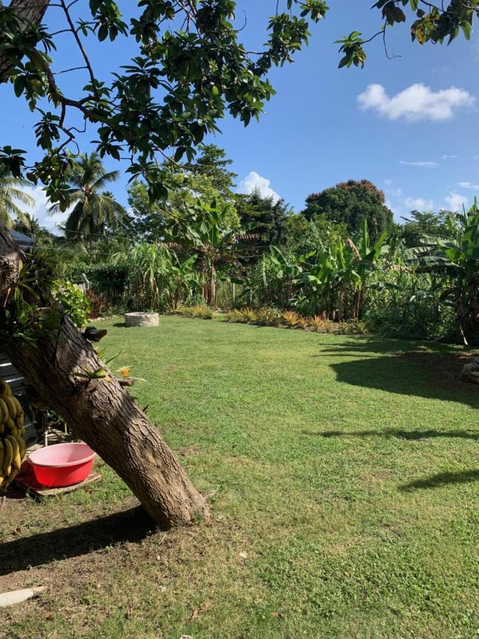 Green Queendom Farm And Lodging Oracabessa Exterior photo