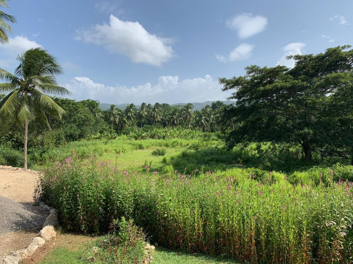 Green Queendom Farm And Lodging Oracabessa Exterior photo